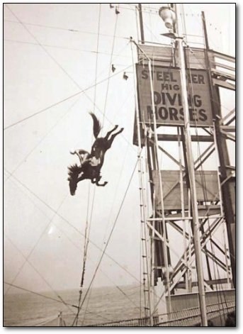 Алиса Рубцова | Санкт-Петербург