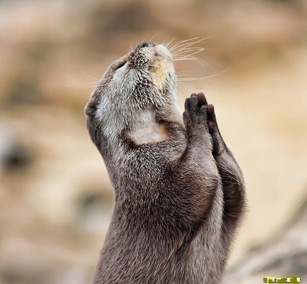 Татьяна Борзова | Санкт-Петербург