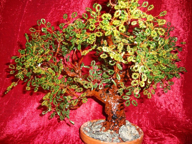 Алина Еременко | Мелитополь