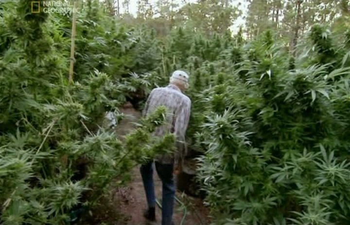 Макс Бигбен GREENPEAS | Тюмень