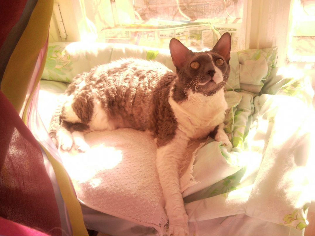 Надежда Ножова | Санкт-Петербург