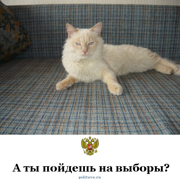 Олег Мордовкин Lawless | Воронеж