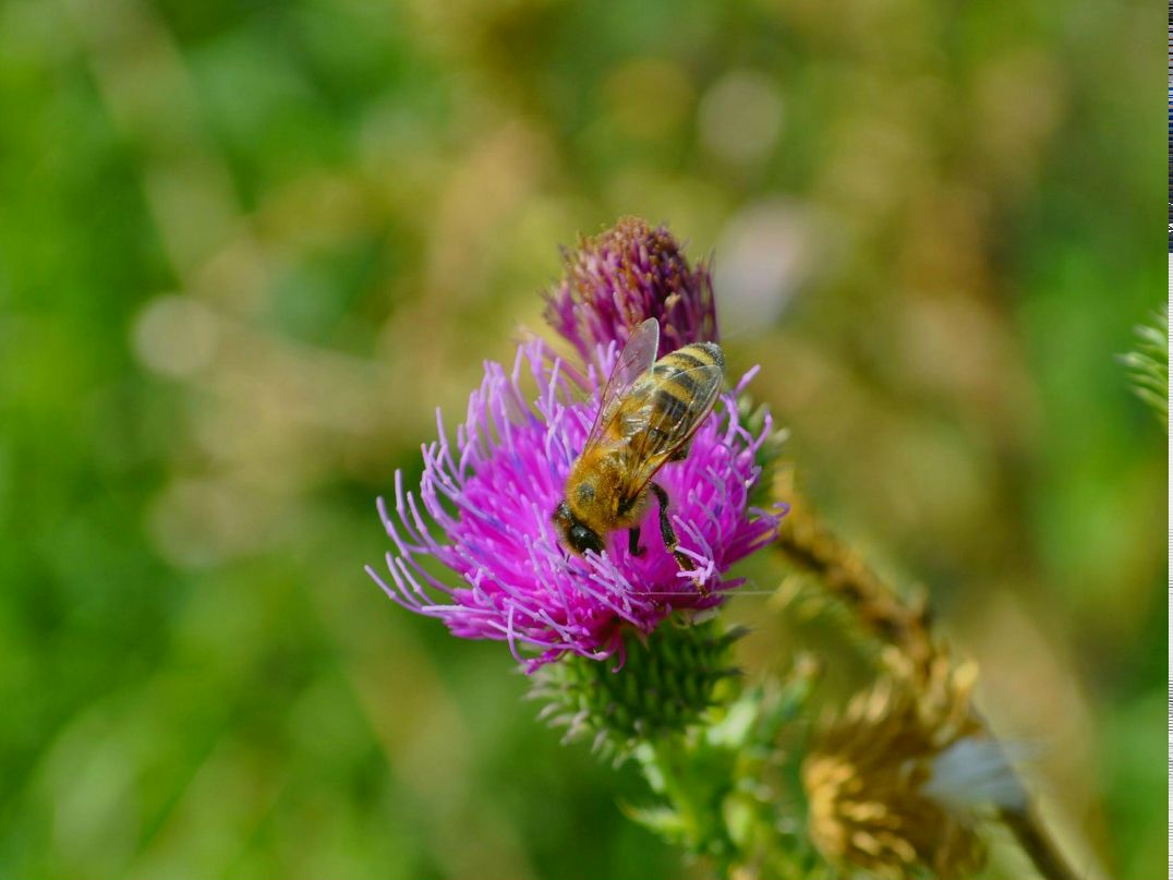 Владимир Челбарах | Мариуполь