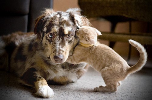 №22, Кристина Буш, 32 года, Лобня №22, Кристина Буш, 32 года, Лобня