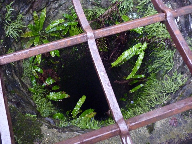 Екатерина Исаева | Белгород