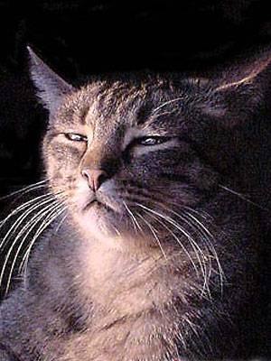 Дмитрий Осолихин | Сызрань