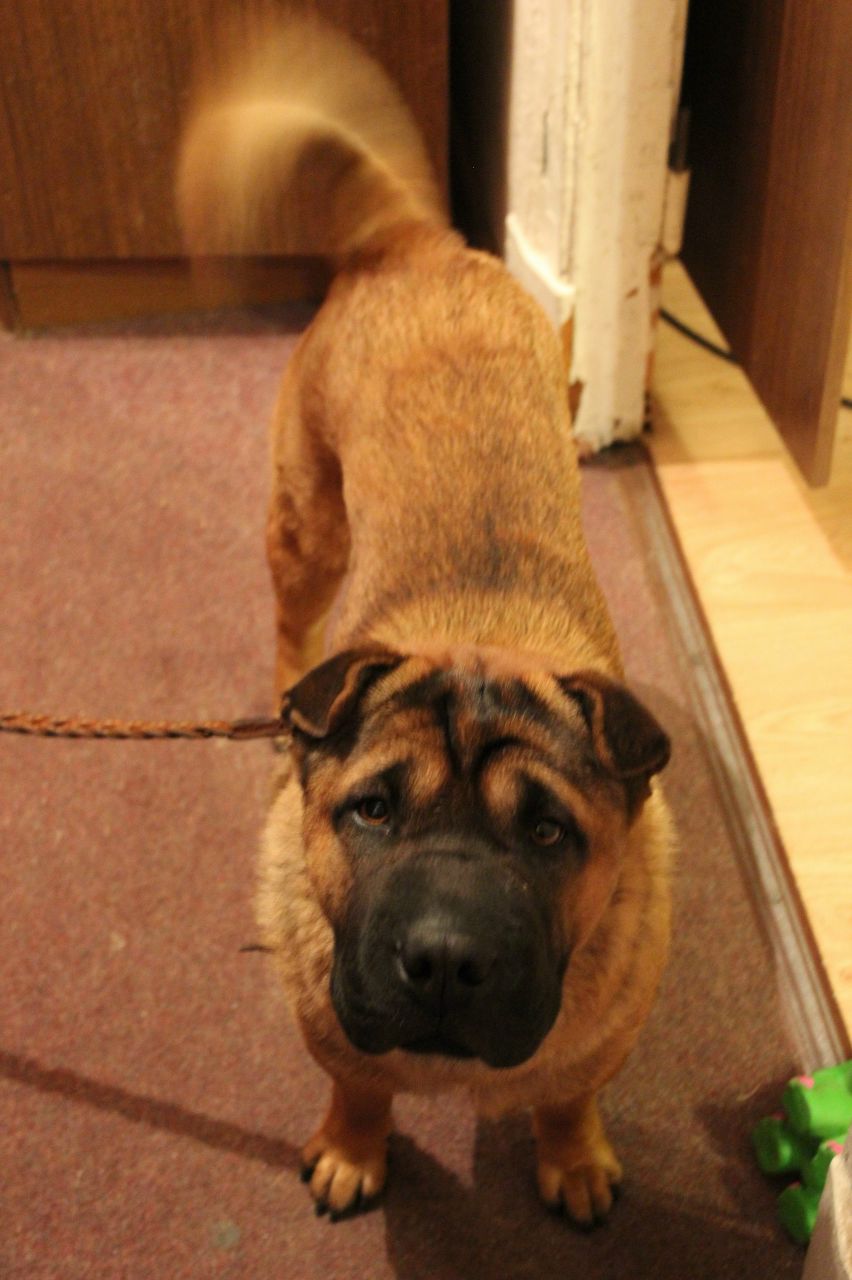 Виктория Трофимова | Москва