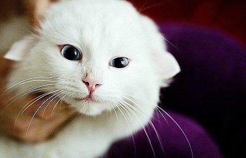 Лена Кузьмина | Волгоград