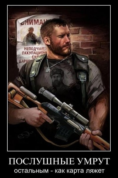 Роман Винокуров | Курск