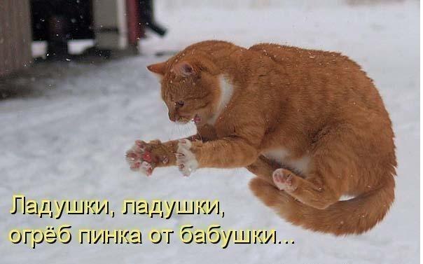 Денис Зазнайкин | Вологда