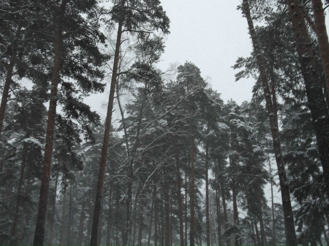 Алсу Сушинцева | Казань