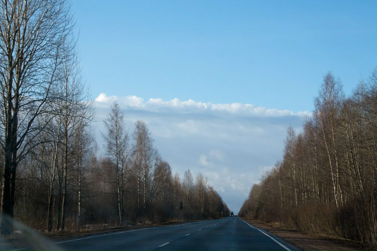 Veronika Bogomolova | Санкт-Петербург