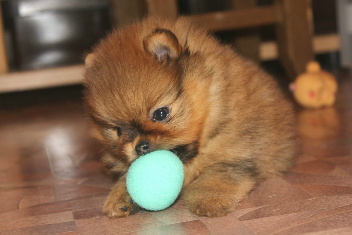 Мария Власенкова | Санкт-Петербург