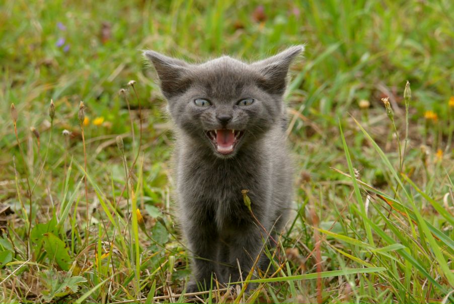 №38, Алёна Хайрум, 51 год, Oslo №38, Алёна Хайрум, 51 год, Oslo