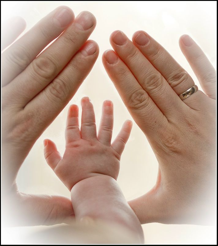 Елена Хижняк | Вологда