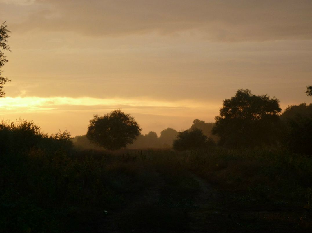 Александер Кузьминский | Воздвиженское