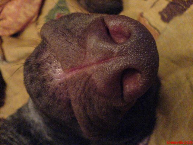 Саня Новиков | Серпухов