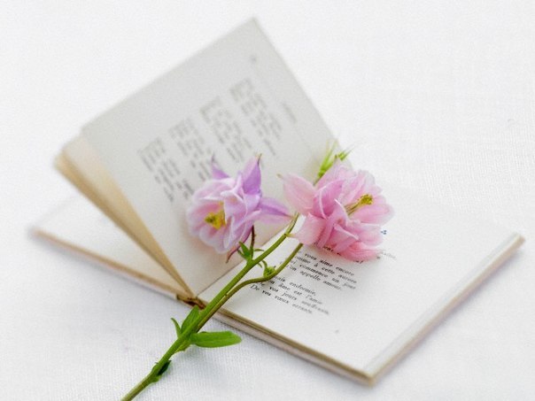 Гульнара Гараева ☝ G&R | Москва