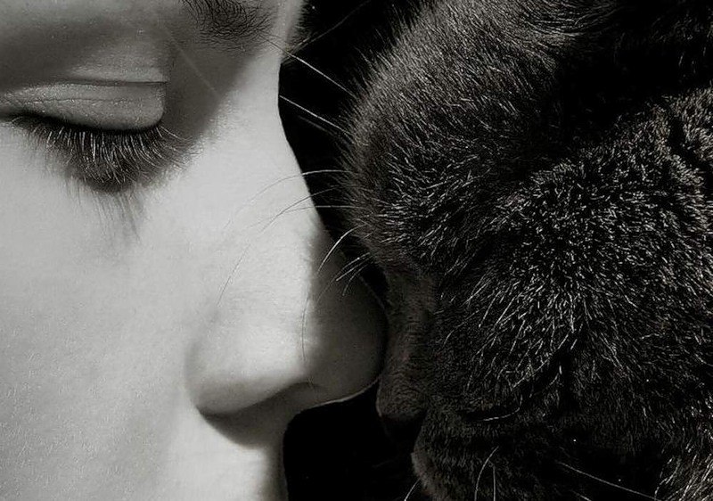 Елена Петрова | Москва