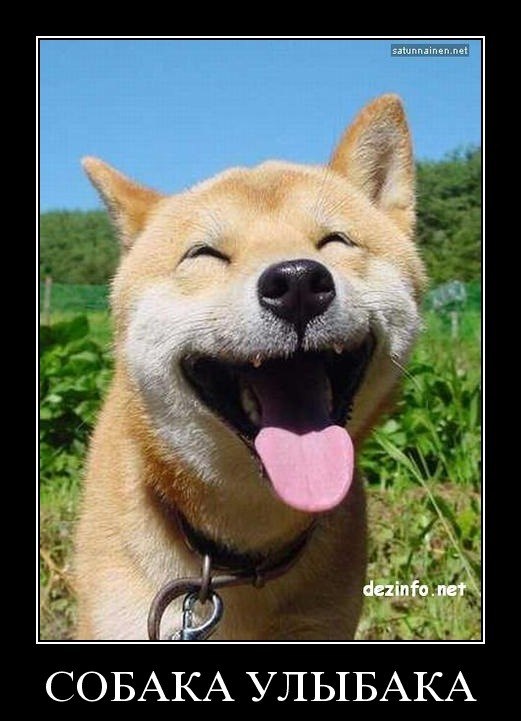 Игорь Иванов | Хабаровск