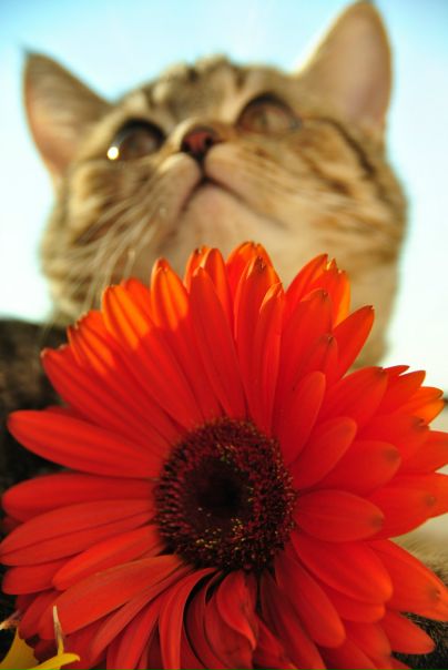 №66, Анастасия Кочеткова, Москва №66, Анастасия Кочеткова, Москва