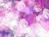 Юлия Моторина <<Принцесса Королевовна>> | Севастополь