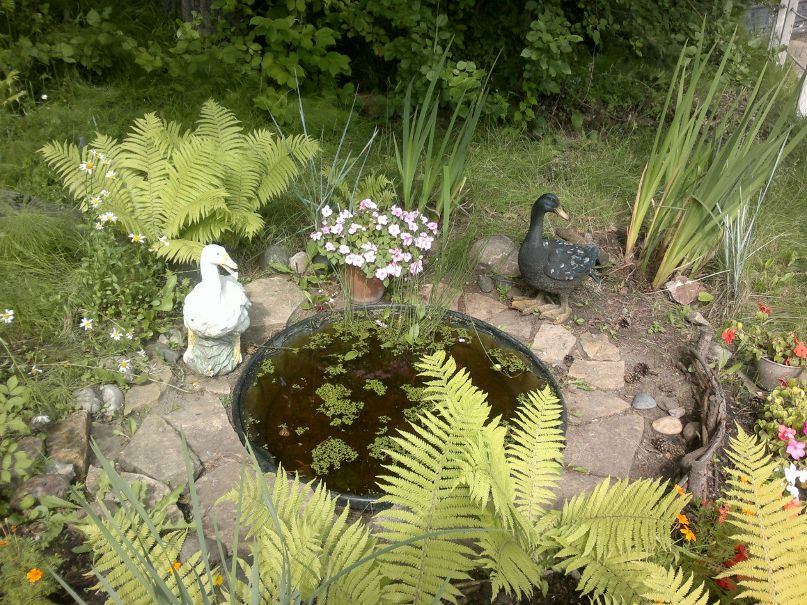 Кристина Ильина | Минусинск