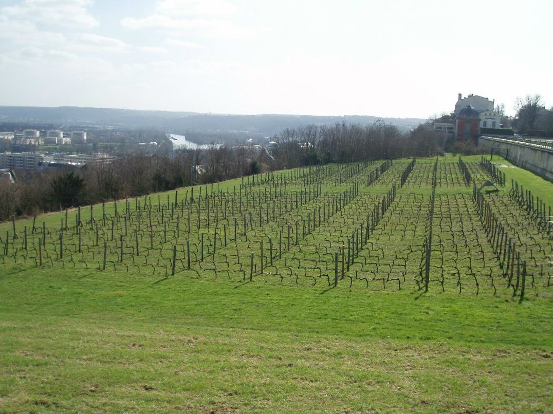 Михаил Крестьянинов | Paris