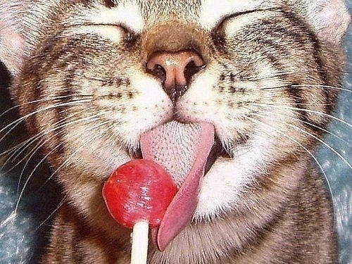 Екатерина Караваева ◕ ‿‿ ◕ | 