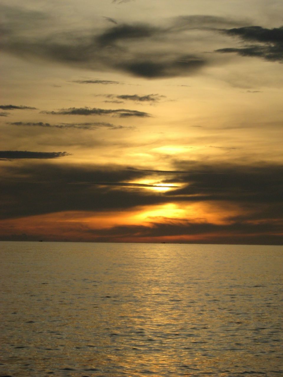 Ольга Китаева | Москва