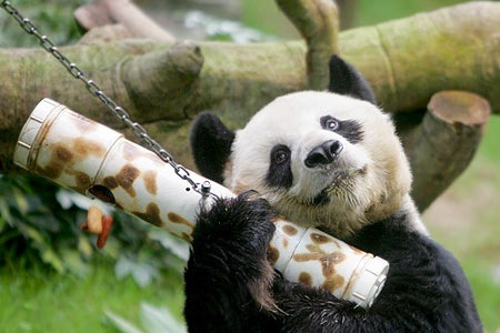 №54, Анна Пак, 37 лет, Watertown №54, Анна Пак, 37 лет, Watertown