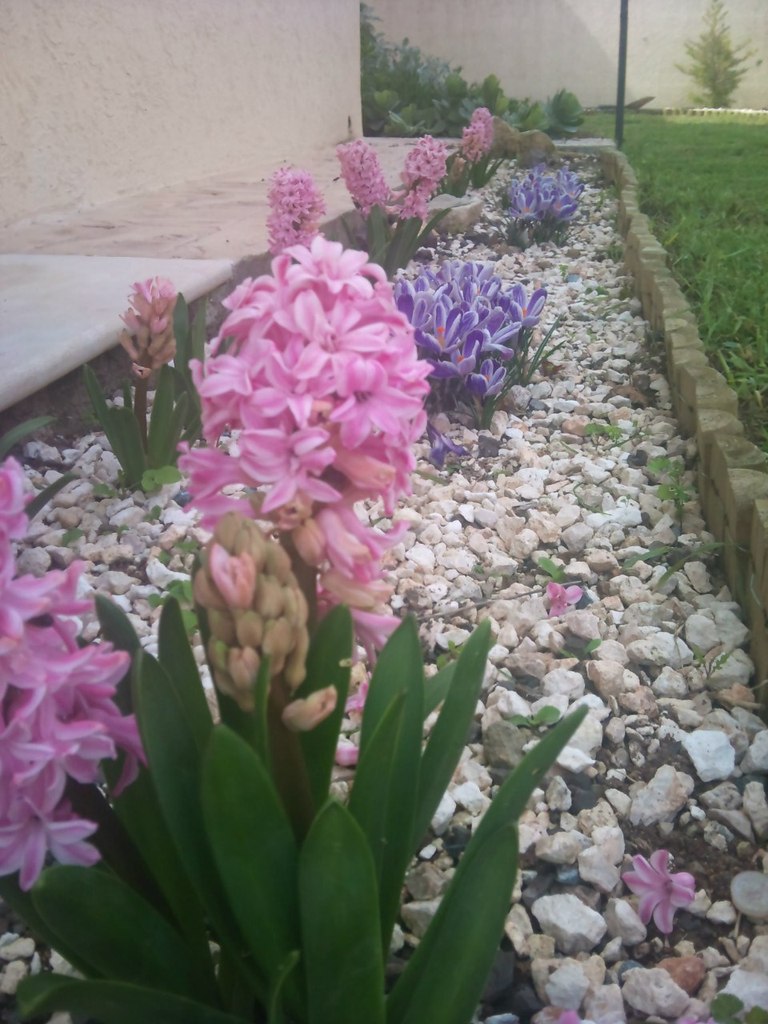 Ольга Смолокурова | Limassol