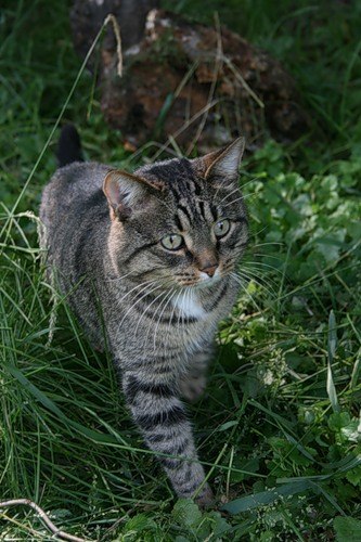 Роман Ильин | Екатеринбург