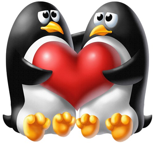 Юлия Иванова | Волгоград