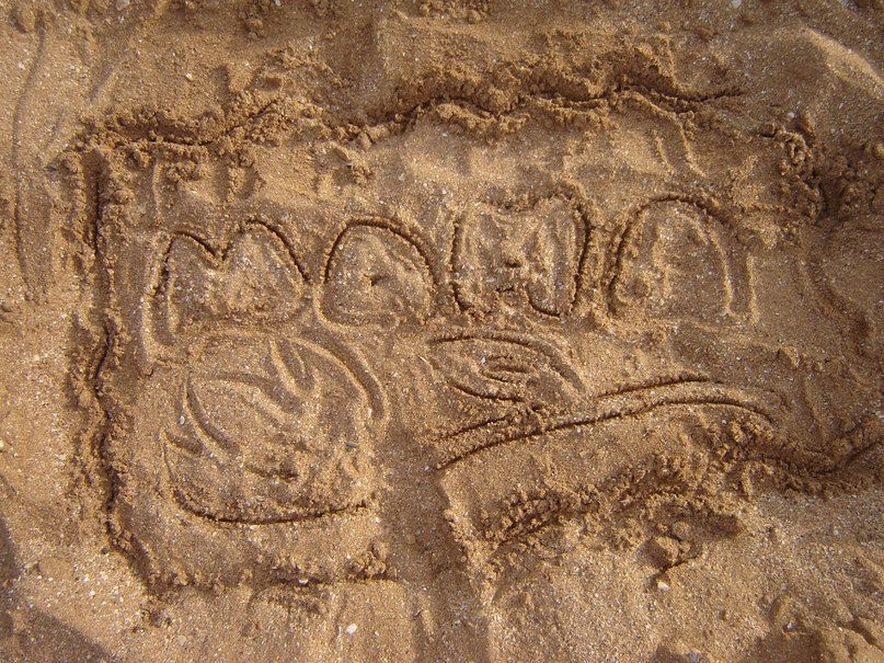 Светлана Гуркина | Санкт-Петербург