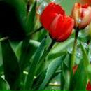 Екатерина Садыхова | Ростов-на-Дону