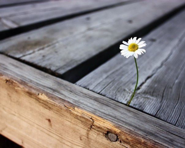 Сережка Кузнецов | Санкт-Петербург