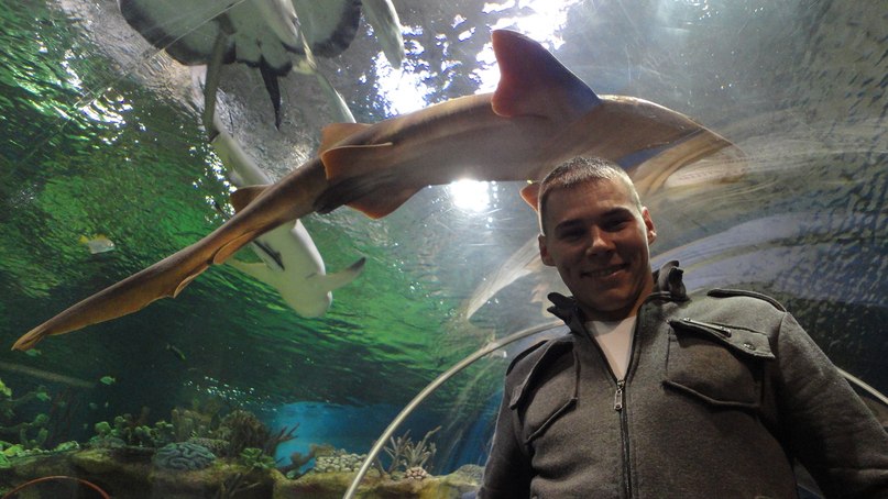 Андрей Широков | Волгоград