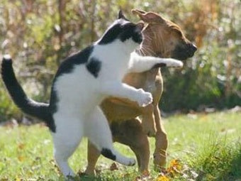 №127, Владимир Шишов, Санкт-Петербург №127, Владимир Шишов, Санкт-Петербург