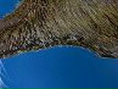 Валера Смол | Люберцы