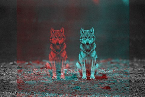 Ваня Ульянов | Петрозаводск