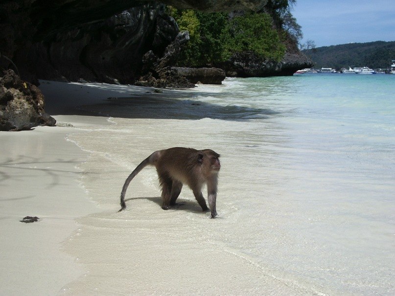 Наталия Голышева | Нарва