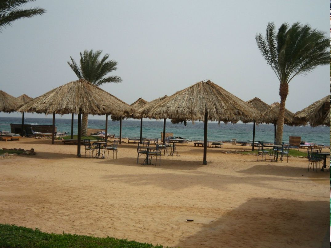 Ольга Ермаченкова | 