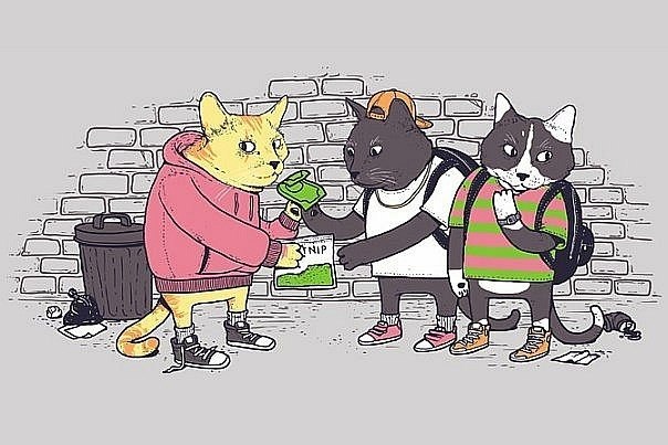 Наркокошка Ronaldinho | 