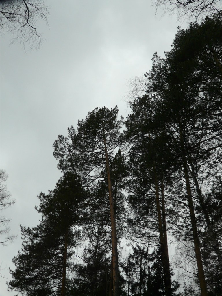 Юра Ясмарса | Самара