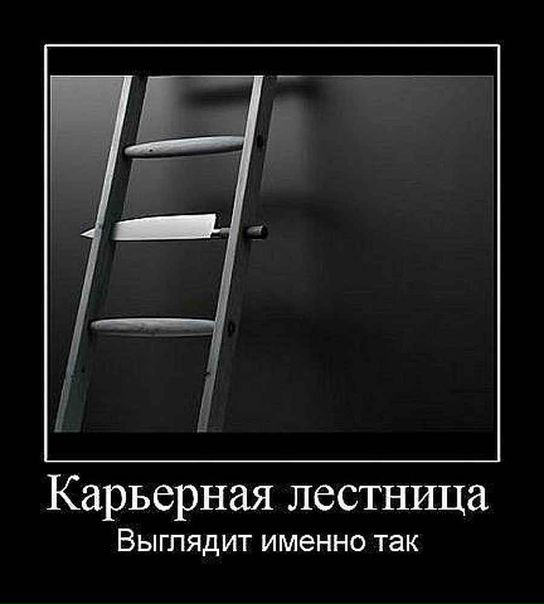 №43, Татьяна Тюпкина, Ярославль №43, Татьяна Тюпкина, Ярославль