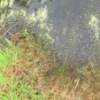 Аватар: Роман Роман
