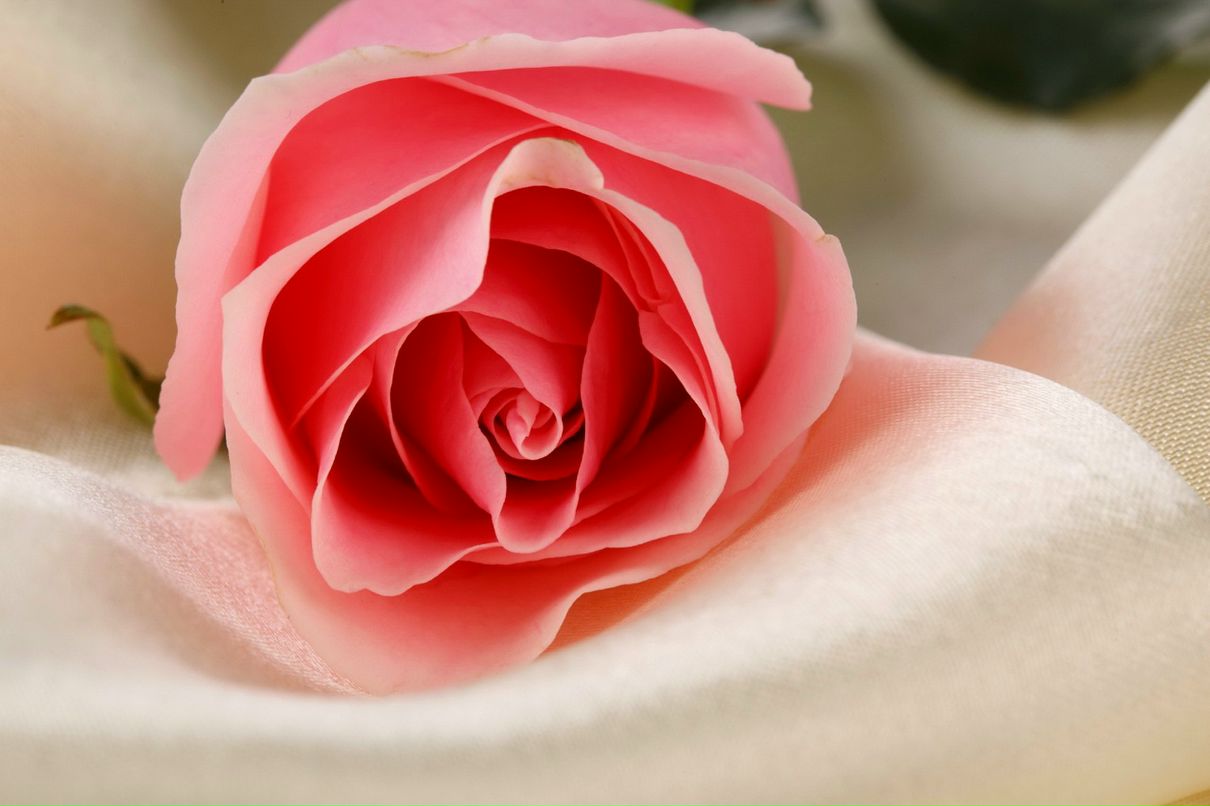 Андрей Бобровничий | Мозырь