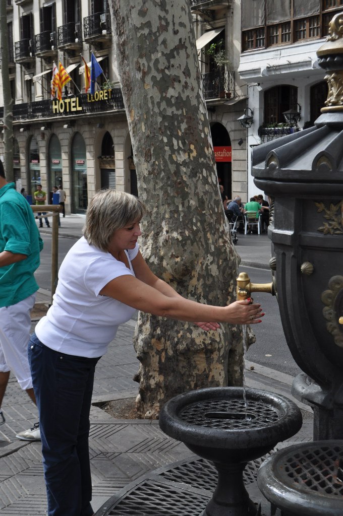 Елена Цивьян | Санкт-Петербург