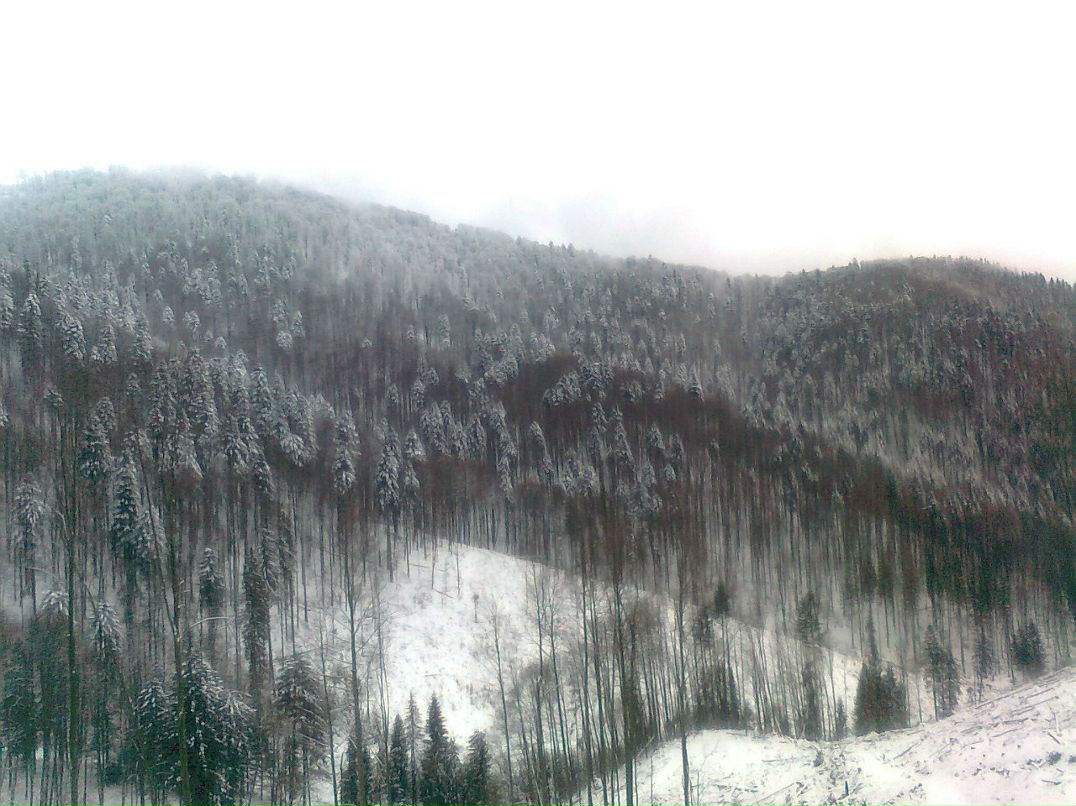 Богдан Крамаренко \дядя Бодя\ | Кременчуг